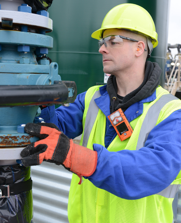 Portable Gas Detector